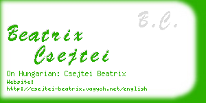 beatrix csejtei business card